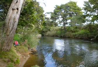 Punakitere River at Punakitere Loop Road