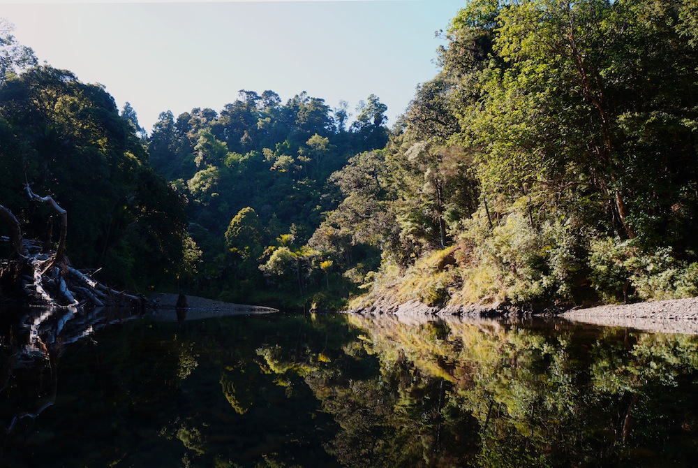 Waihou River