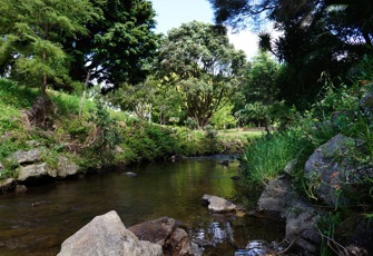 Waiarohia at Second Ave Footbridge