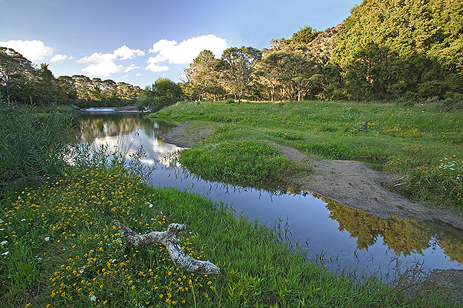 Waitangi River