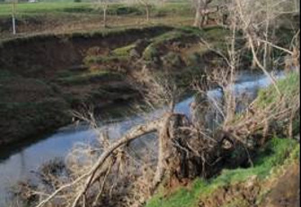 Hikutaia River at Old Maratoto Rd