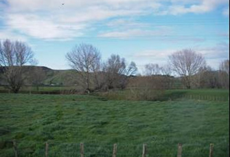 Hikutaia River at Old Maratoto Rd 2