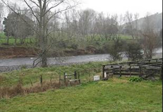 Waiwawa River at SH25 Coroglen