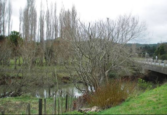 Wharekawa River at SH25