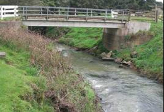 Whangamarino River at Jefferies Rd Br