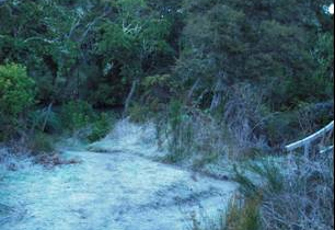 Waitahanui River at Blake Rd