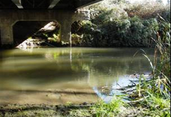 Waipapa Stm (Mokai) at Tirohanga Rd Br