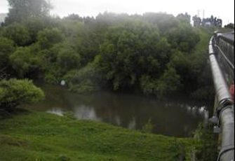 Waipa River at Pirongia-Ngutunui Rd Br