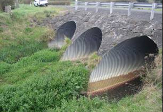 Waerenga Stm at Taniwha Rd