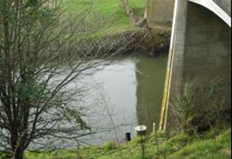 Puniu River at Bartons Corner Rd Br