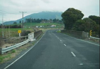 Puniu River at Bartons Corner Rd Br 2
