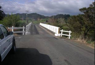 Mangatawhiri River at Lyons Rd At Buckingham Br 2