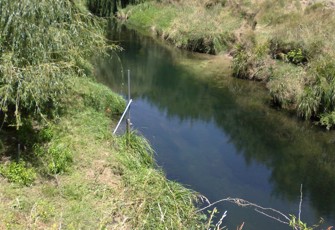Waimapu at Pukemapu Road (1)