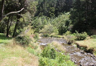 Kahuterawa Stream at Kahuterawa Reserve