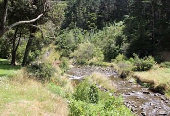 Kahuterawa Stream at Kahuterawa Reserve