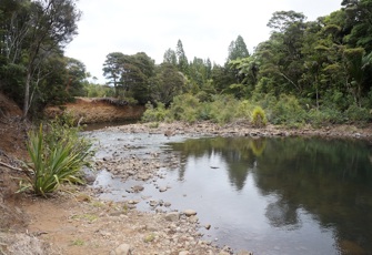 Waipoua River