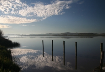 Wairoa at Dargaville