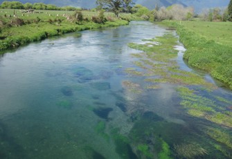 Murray Ck looking upstream