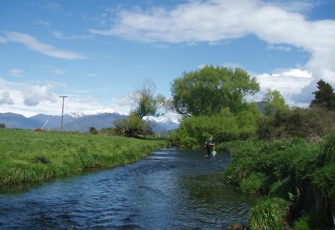 Harris Ck looking upstream 2009