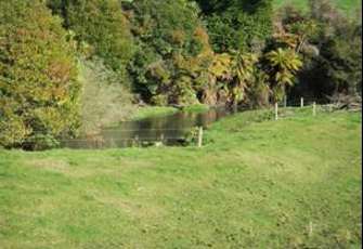 Little Waipa Stm at Arapuni - Putaruru Rd