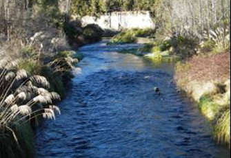 Hinemaiaia River at SH1