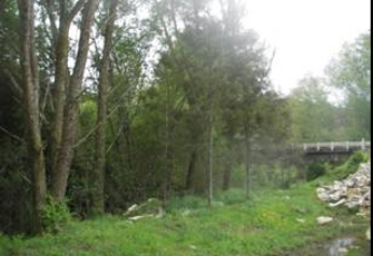 Waitomo Stm at Tumutumu Rd