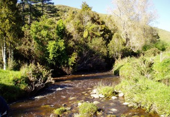 Baker Creek @ Baker Creek Rd