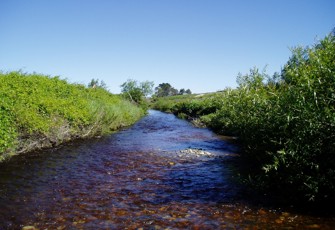 Baker Creek @ Oparara Rd