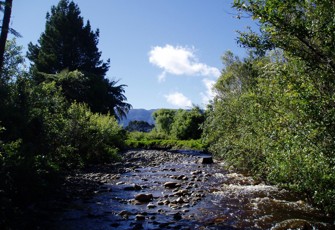 Baker Creek @ Oparara Rd upstream