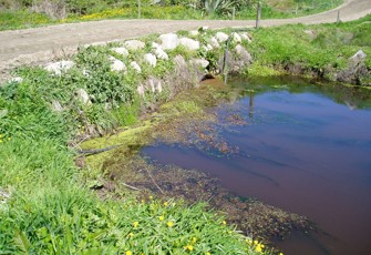 Blackwater Creek