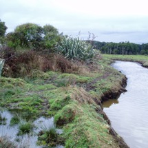 Blackwater Creek
