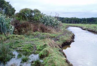 Blackwater Creek downstream
