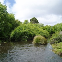 Bradshaws Creek