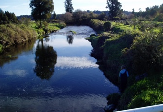 Ellis Creek @ Ferry Rd Br