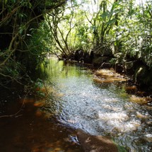 Mokihinui River
