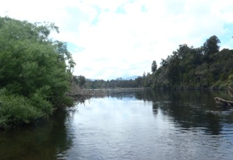 Arnold River @ Kotuku Fishing Access