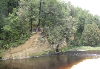 Nelson Creek @ Swimming Hole