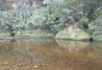 Nelson Creek @ Swimming Hole (2)