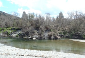 Poerua River @ Rail Line
