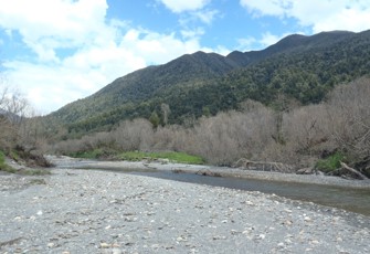 Poerua River @ Rail LIne (1)