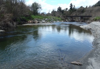 Poerua River @ Rail Line (2)