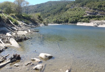 Grey River @ Taylorville Swimming Hole