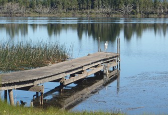 Lake Brunner @ Cashmere Bay boat ramp (2)