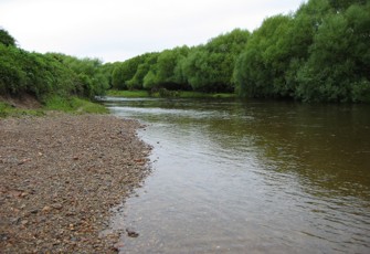 Kaniere River @ Kaniere-Kokatahi Rd