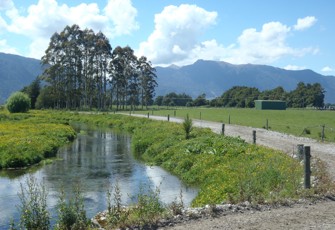 Berry Creek @ North Branch Wanganui Flat Rd