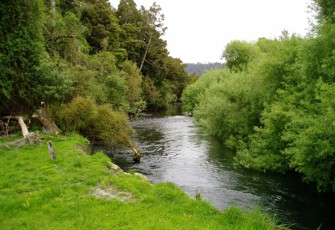 La Fontaine Stream @ Airstrip Fishing Access upstream