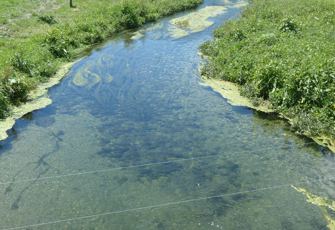 Un-named Creek @ Adamsons Rd