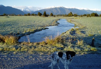 Un-named Creek @ Adamsons Rd (1)