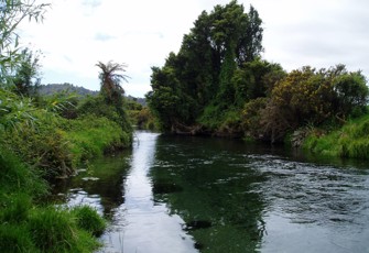 Vickers Creek @ Whataroa North Base (2)