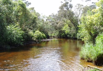 Orowaiti River @ Excelsior Rd
